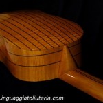 Chitarra Battente Mod. 2010