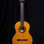 Classical Guitar Model 2-2011