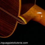 Classical Guitar Model 2-2011