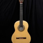 Classical Guitar Model 2014