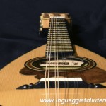 Mandolin  mod. Fiore 2019