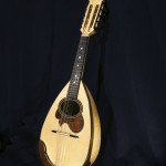 Mandolin  mod. Fiore 2019