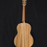 Classical Guitar Model 2018