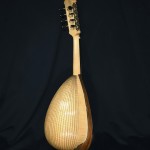 Mandolin  mod. Fiore 2019